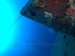 Egypt Underwater