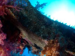 Egypt Underwater