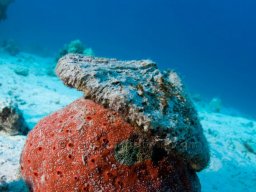 Egypt Underwater